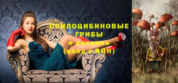 кристаллы Богданович