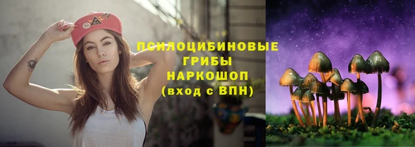 кристаллы Богданович