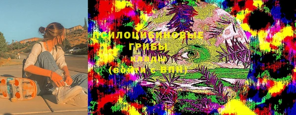 прущая мука Богородск