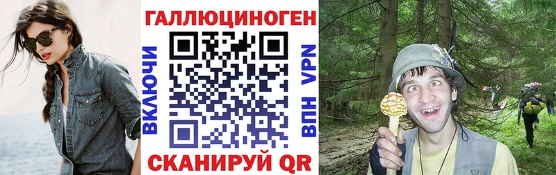 Купить закладки  Анива  Галлюциногенные грибы мицелий 