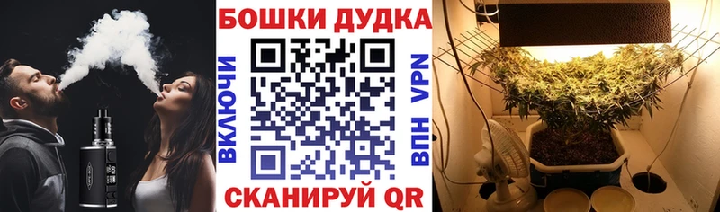 Конопля OG Kush  Купить  Анива 